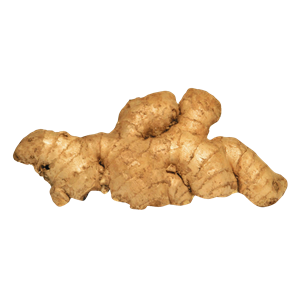 Ginger PNG-16784